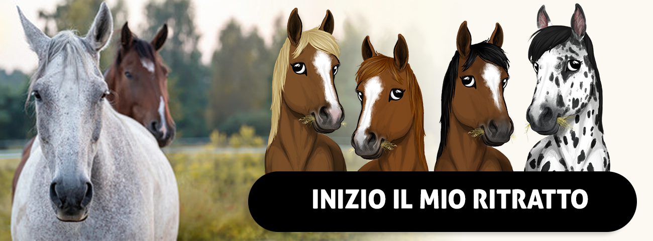 ritratto-di-cavallo-targa-per-stalla-di-cavallo