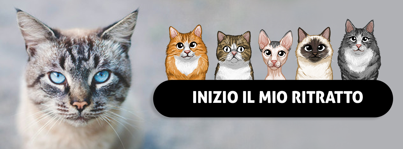 regalo-per-il-gatto-ritratto-di-gatto